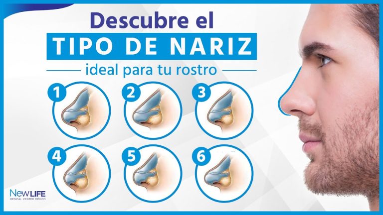 Tipos De Nariz Hombres Nevosurgery Es